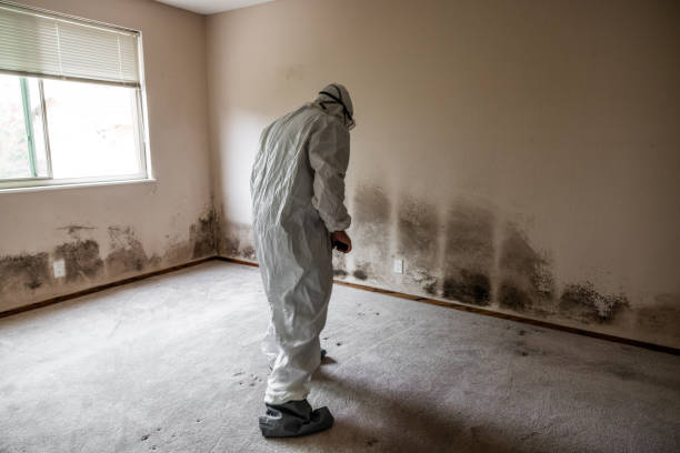 Best Crawl Space Mold Removal  in Merrill, WI