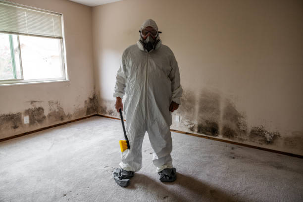 Best Home Mold Removal  in Merrill, WI